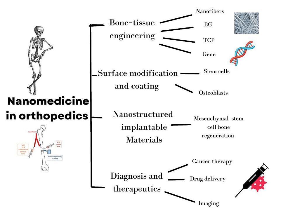 Potential-applications-of-nanomedicine-in-orthopaedics