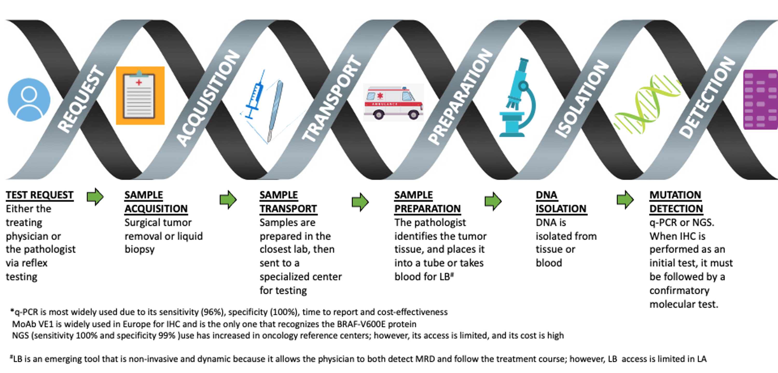 Cureus BRAF Testing in Melanoma and Colorectal Cancer in Latin