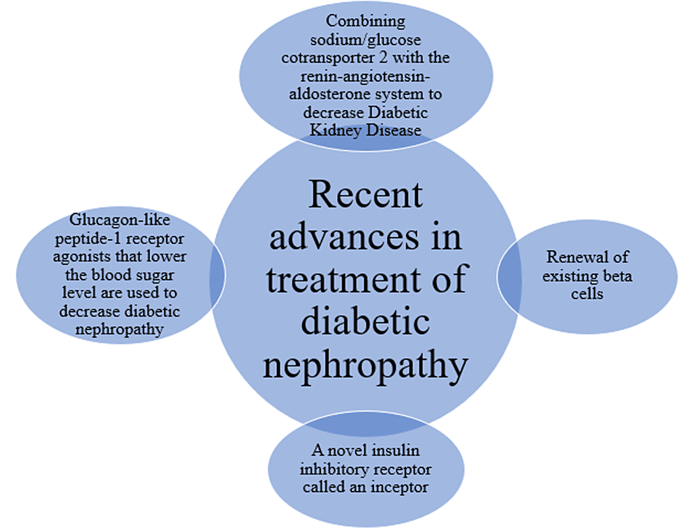 Recent-advances-in-the-treatment-of-diabetic-nephropathy