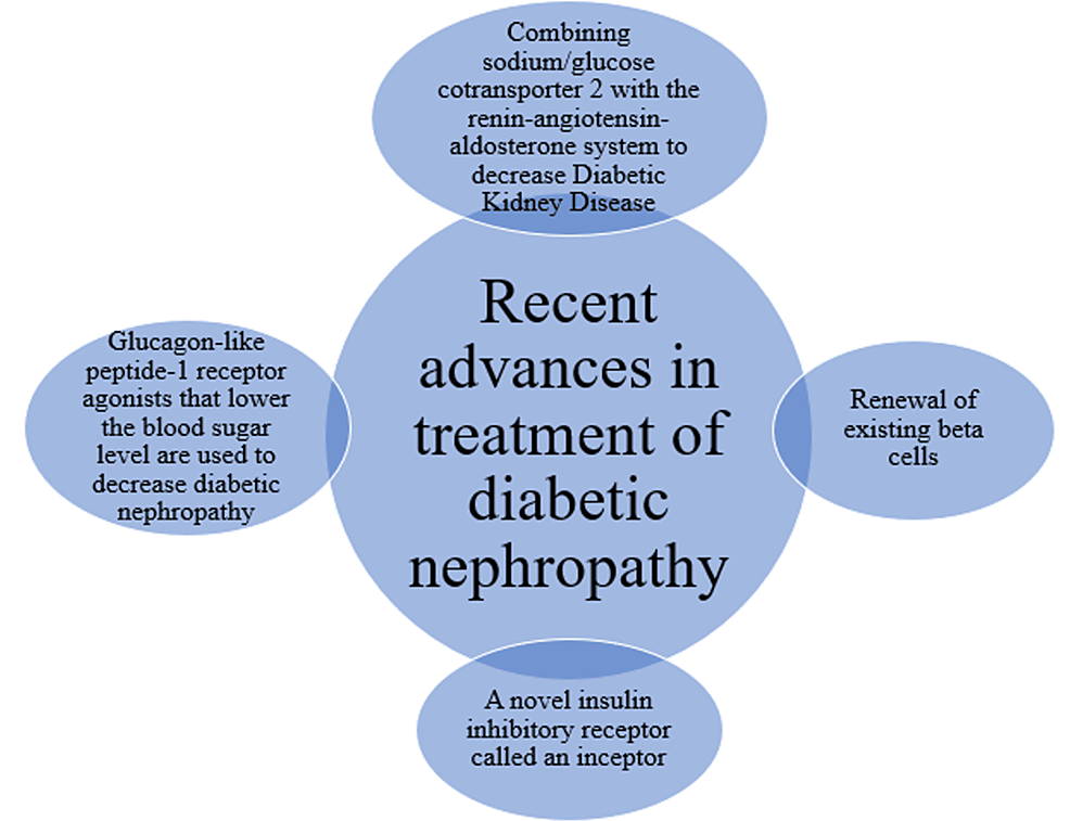 Diabetic nephropathy treatment