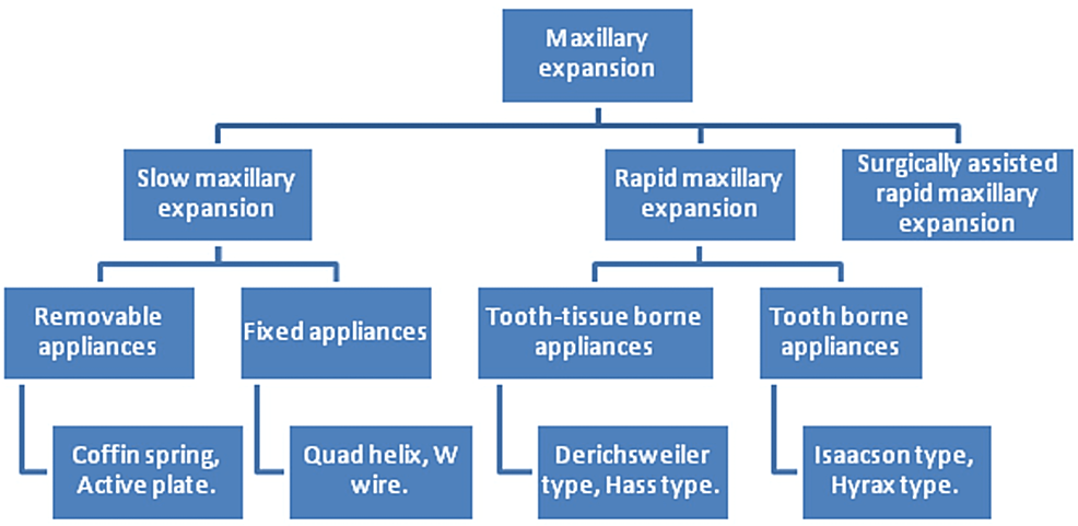hyrax appliance rapid maxillary expansion