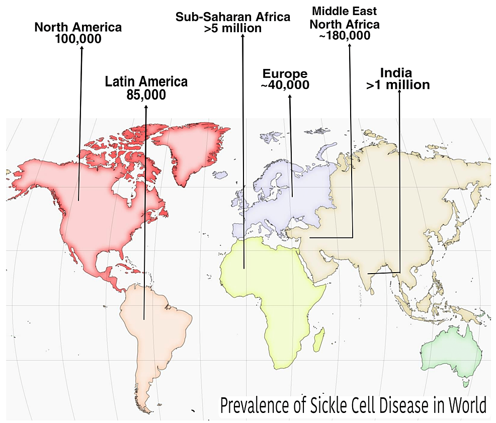 pursuing-organic-gene-therapy-for-sickle-cell-anemia-and-beta