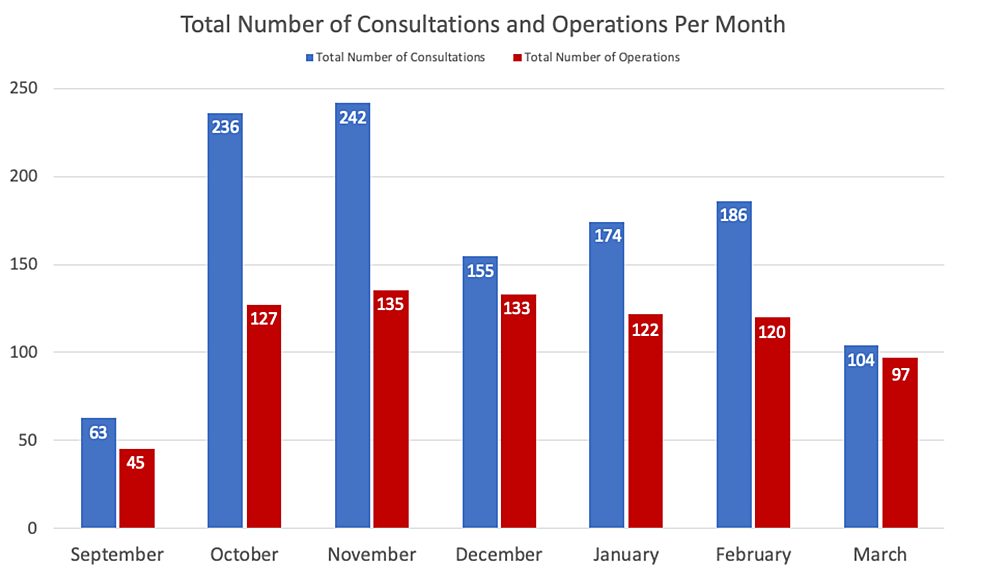 Total-number-of-consultations-and-operations-per-month