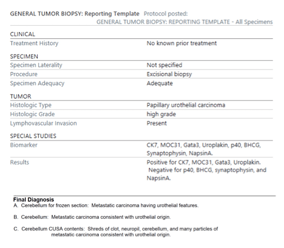 Pathology Report