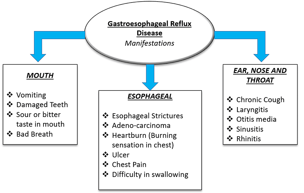 The Spectrum Of Treatment Modalities For Gastroesophageal Reflux 