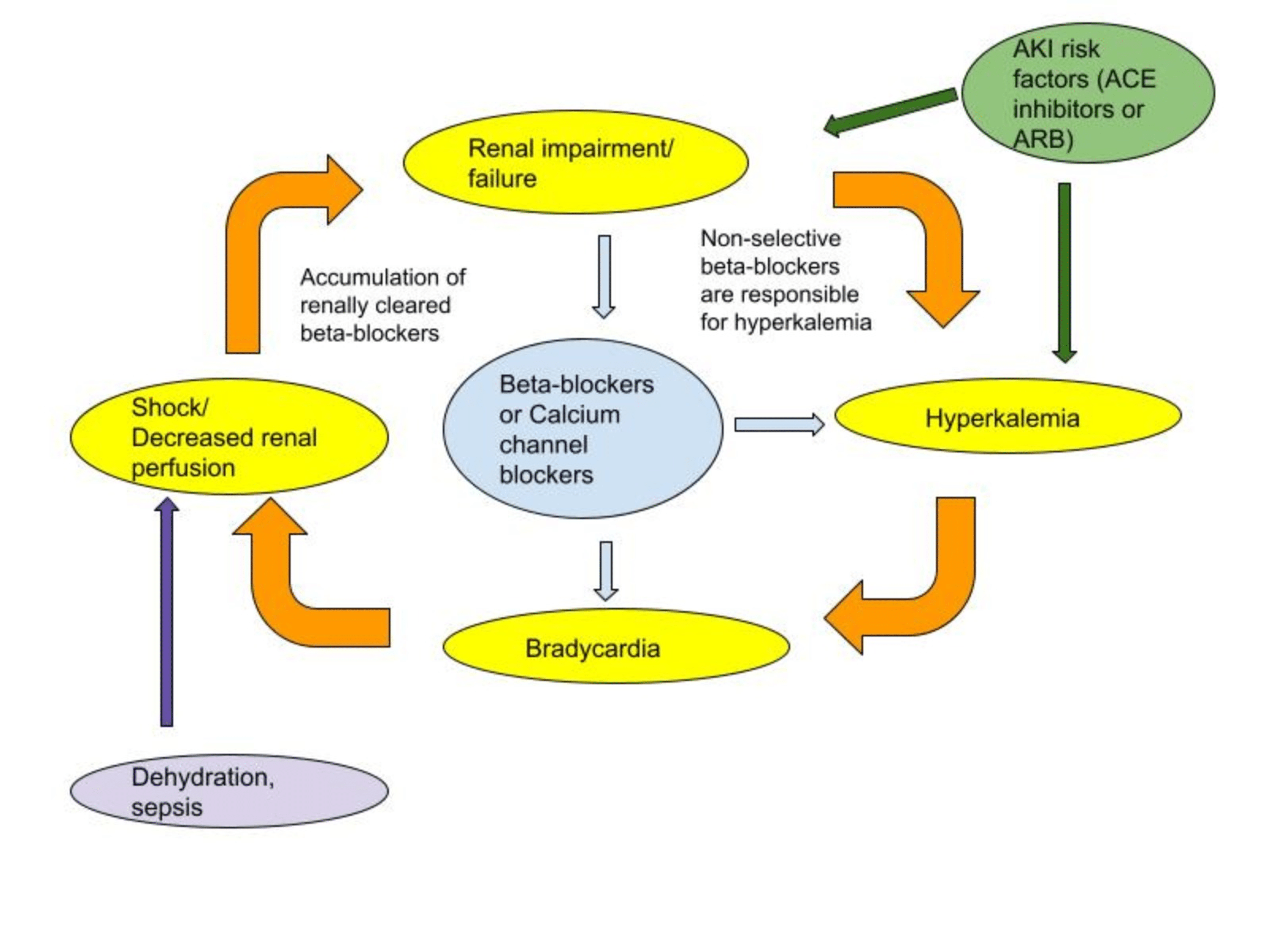 Cureus A Case Report on BRASH (Bradycardia, Renal Failure