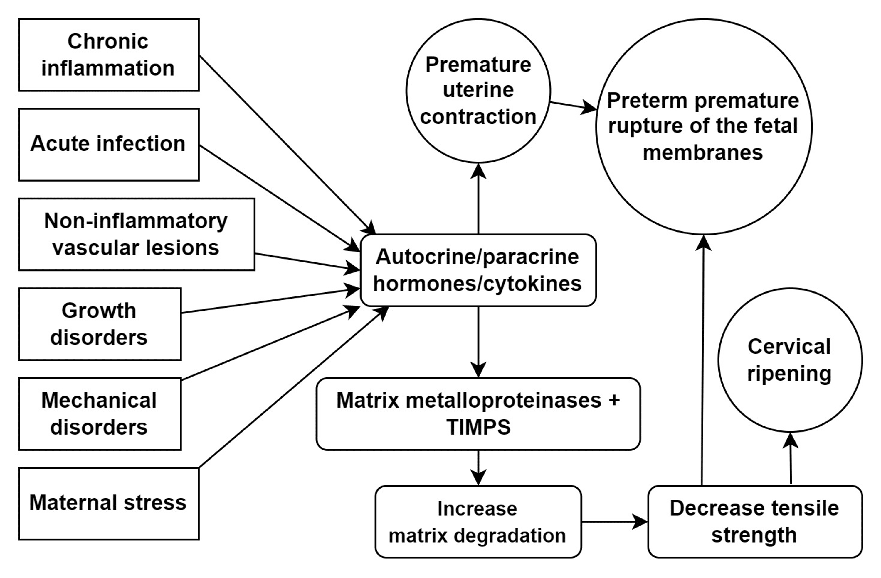 Cureus Evaluation and Management of Premature Rupture of Membranes A