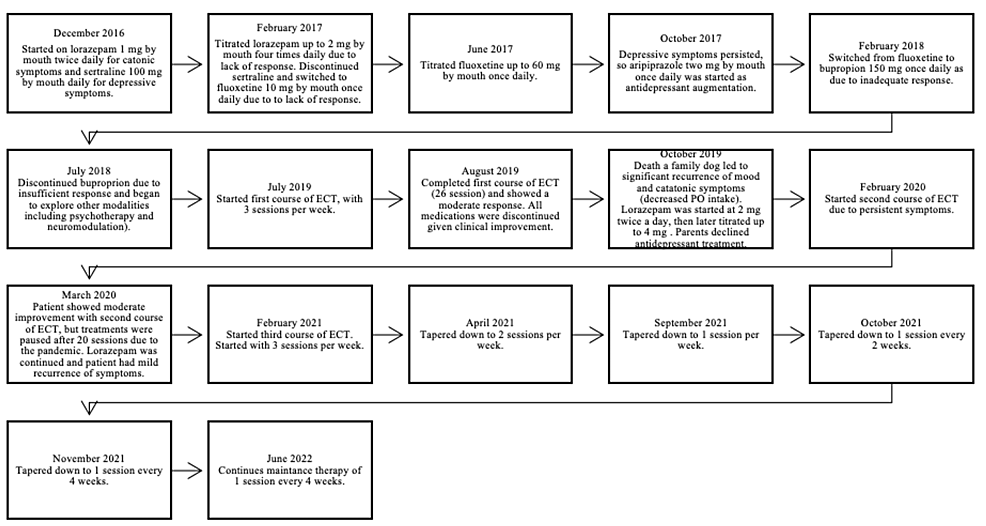 Maintenance Electroconvulsive Therapy, Developmental Regression ...