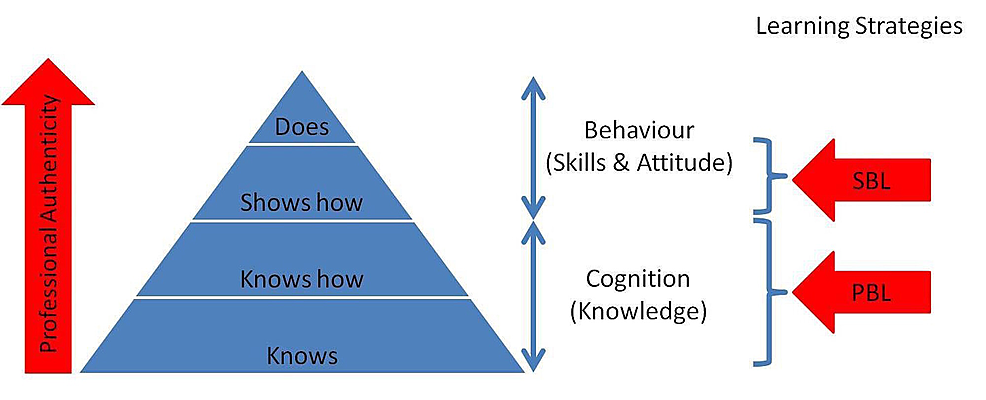 Merging Problem-Based Learning with Simulation-Based Learning in the ...