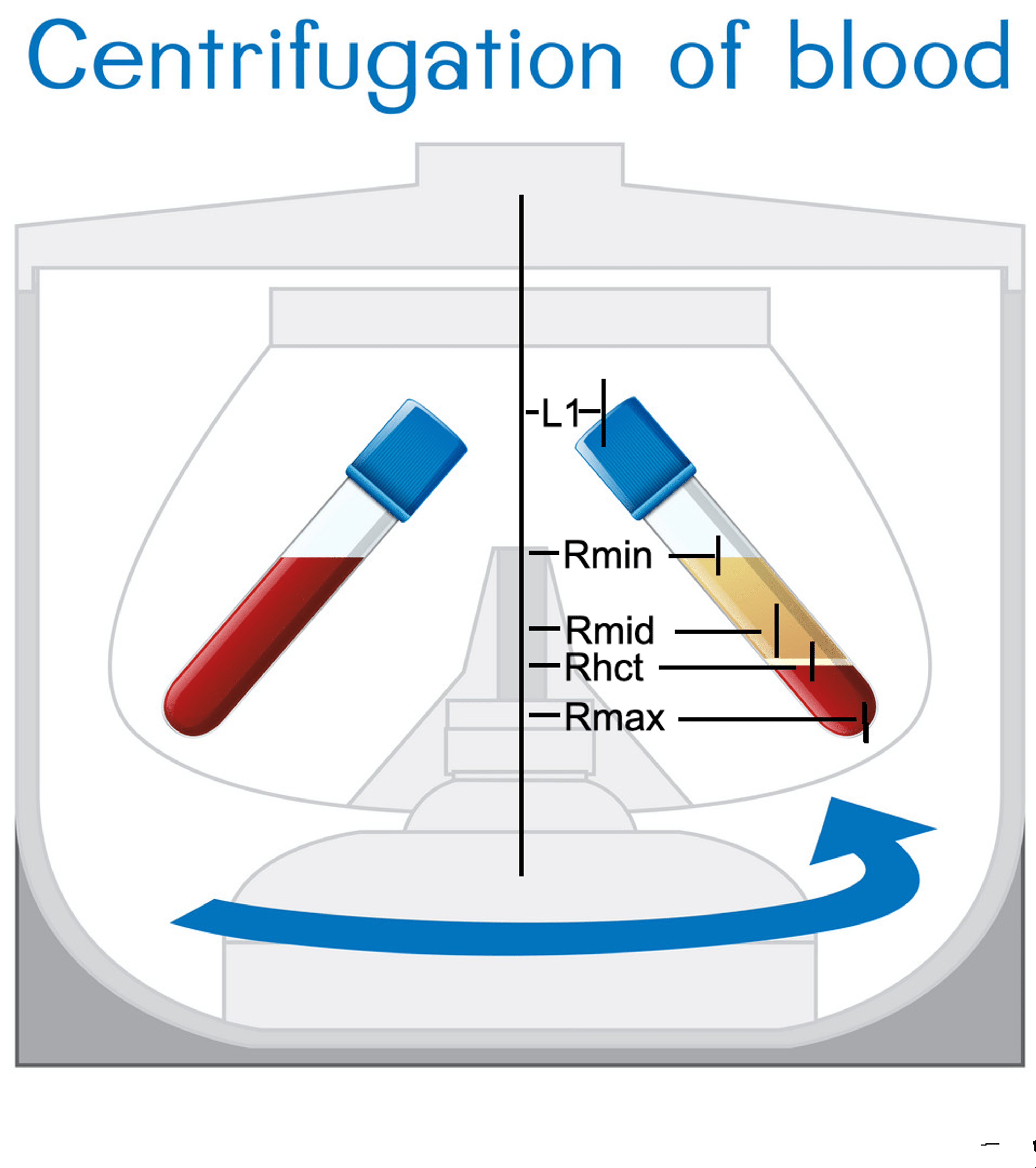 PRPCalc2 An App for PlateletRich Plasma Preparation Cureus