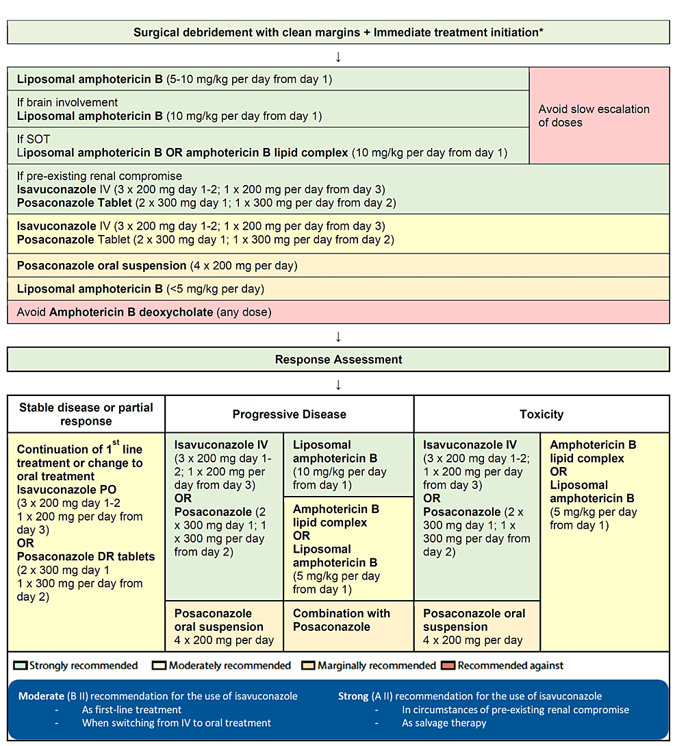 The Fragile Patient: Considerations In The Management Of Invasive Mould ...