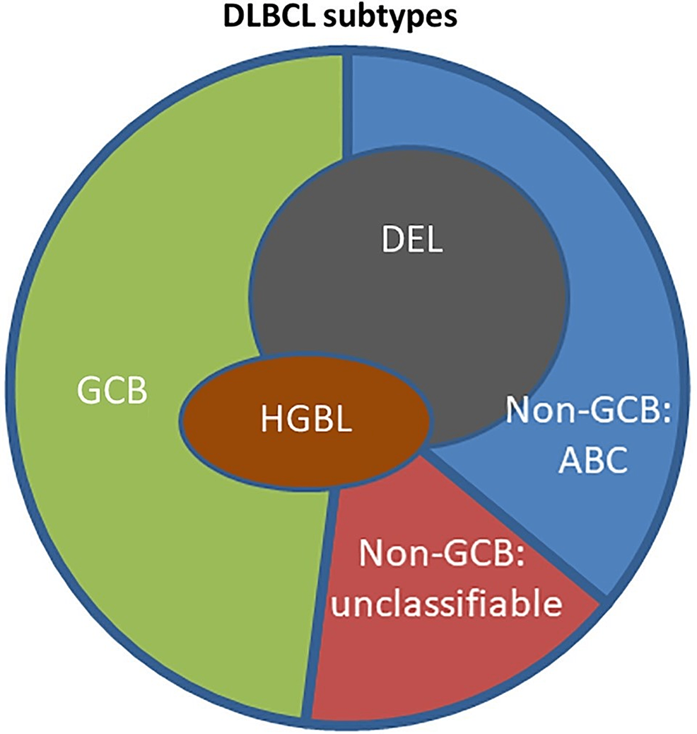 Patients And Families’ Participation In Multidisciplinary Tumor ...