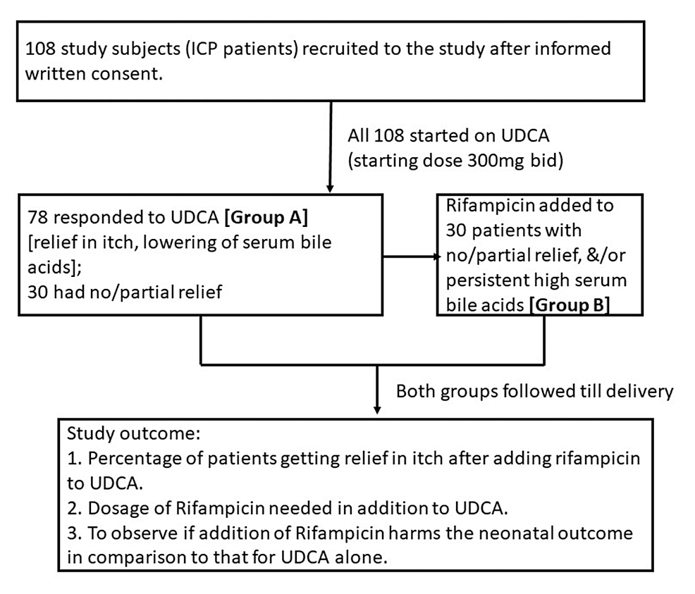 FetoMaternal Effects of Adding Rifampicin to Ursodeoxycholic Acid in