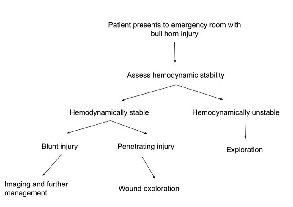 Patterns and Management of Unprovoked Bull Attack Injuries A