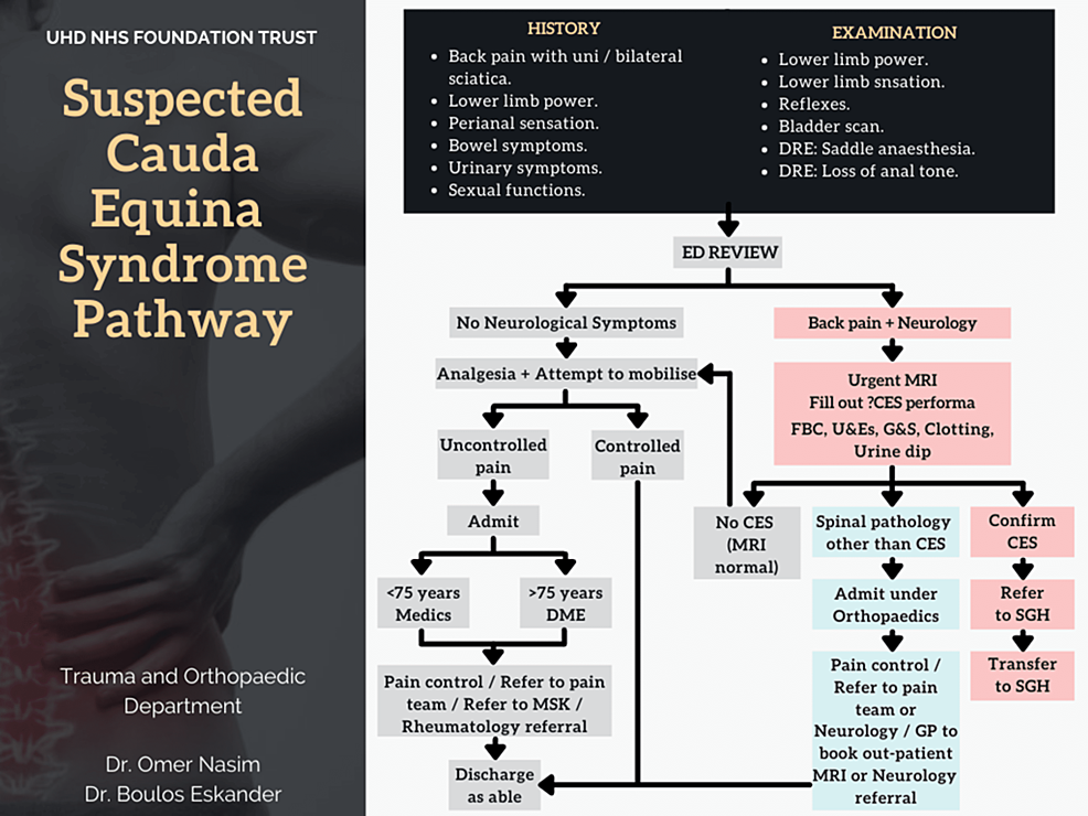 Cureus Expediting the Management of Suspected Cauda Equina Syndrome