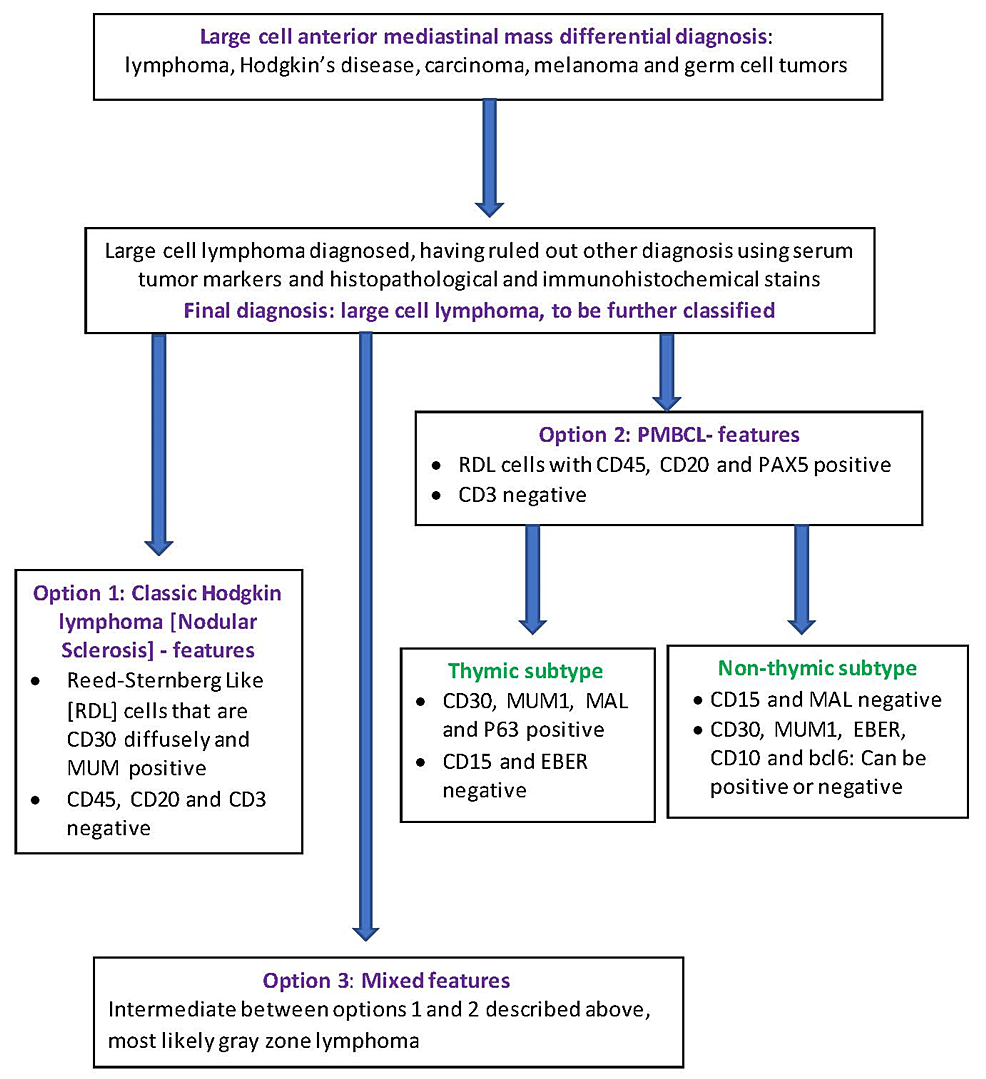 Cureus | Patients And Families’ Participation In Multidisciplinary ...