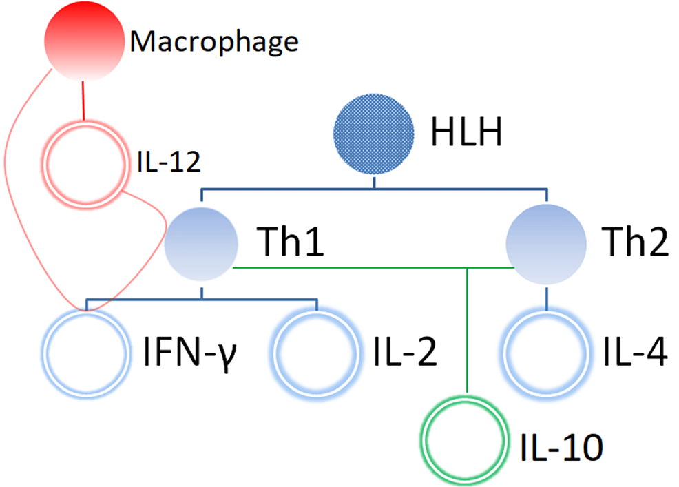 Th1,-Th2,-and-macrophage-paradigm-illustrating-IL-2,-IL-4,-IFN-γ,-IL-10,-and-IL-12-production-as-a-major-pathway-in-HLH.