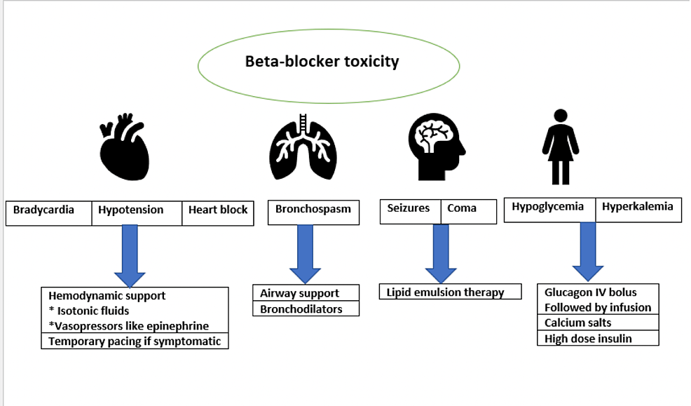 Beta-Blocker And Calcium Channel Blocker Toxicity With BRASH Syndrome ...