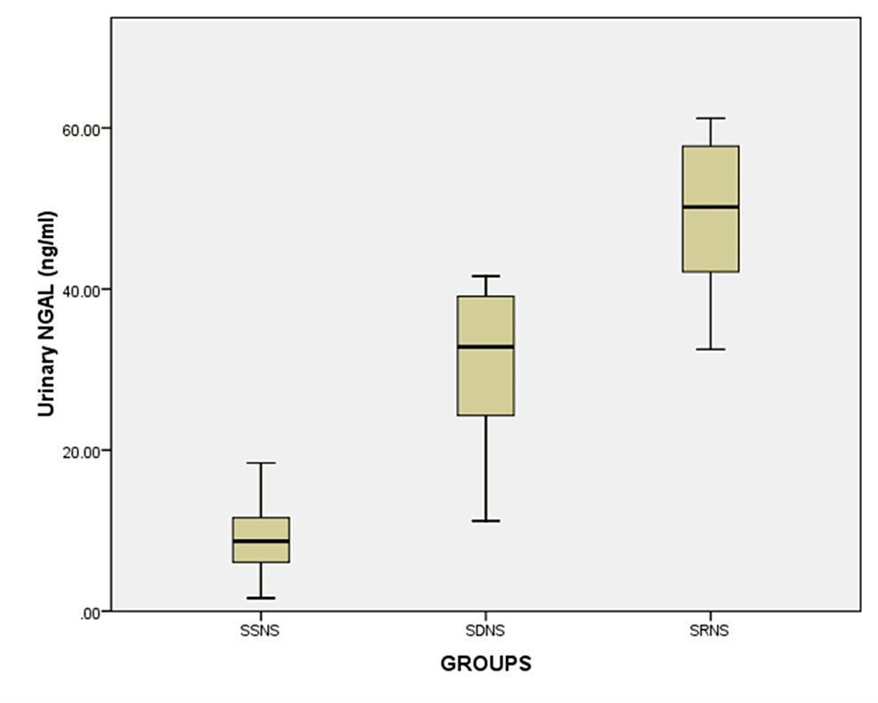 Cureus, Urinary Neutrophil Gelatinase Associated Lipocalin: A Novel  Biomarker Determining Steroid Responsiveness in Nephrotic Syndrome