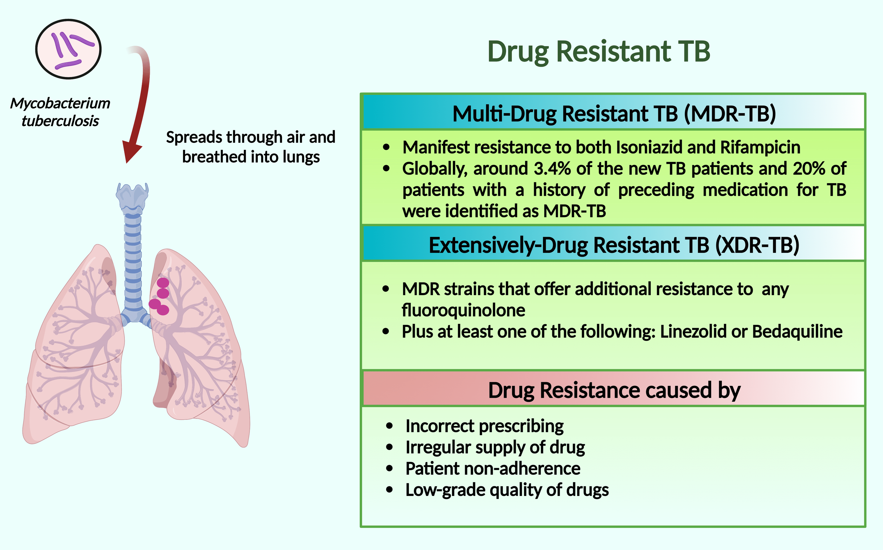 Multidrug-Resistant TB (MDR-TB) And Extensively Drug-Resistant TB (XDR ...