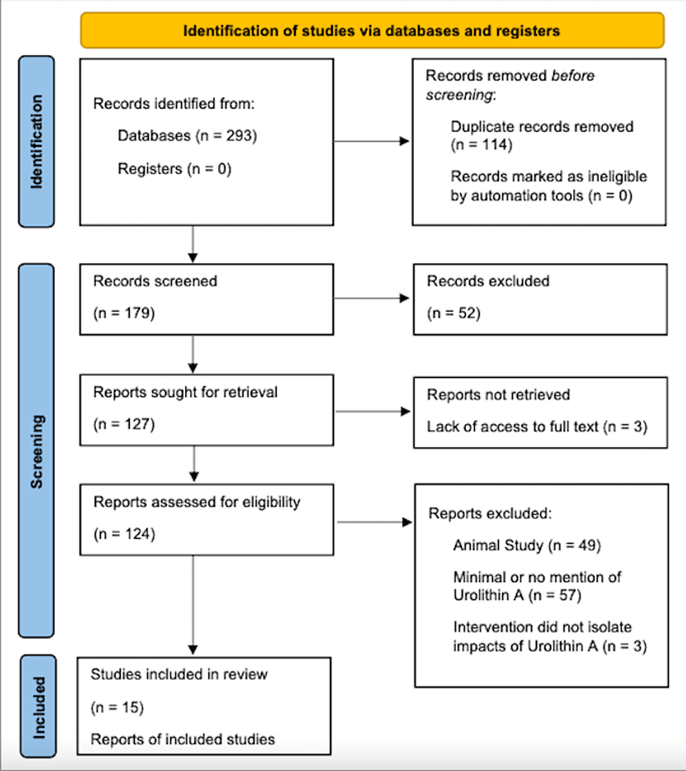 Archalium - a scientific study chapter #143