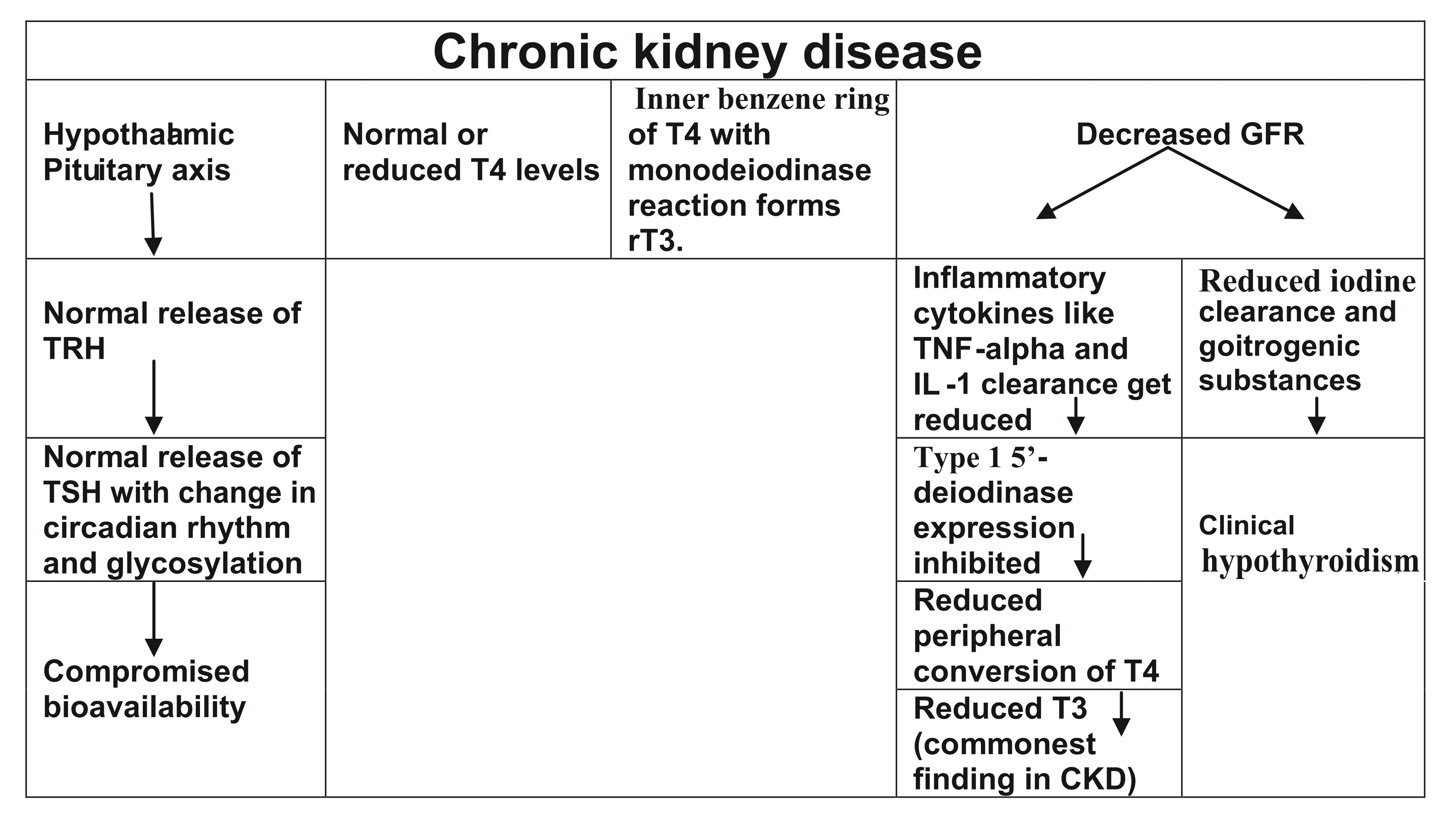 Evaluation of Interactions Between Thyroid Dysfunction in EndStage
