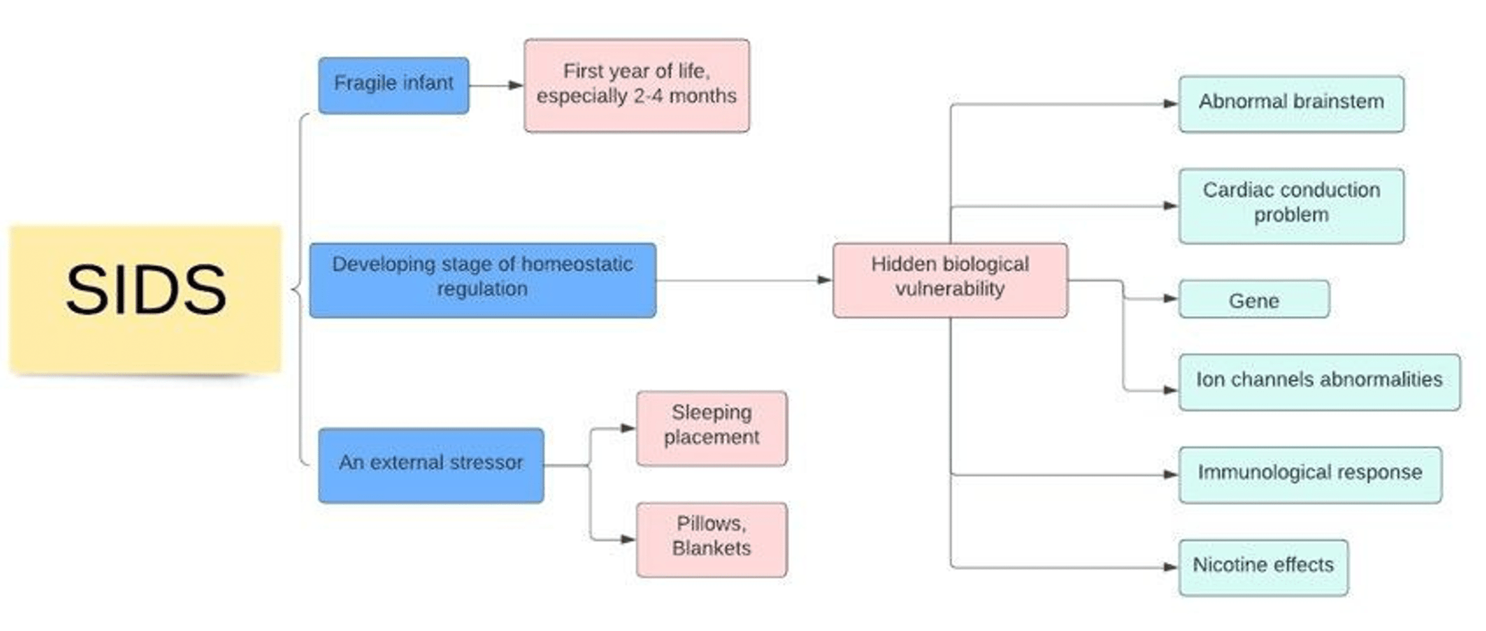 Sudden Infant Death Syndrome Risk Factors and Newer Risk Reduction