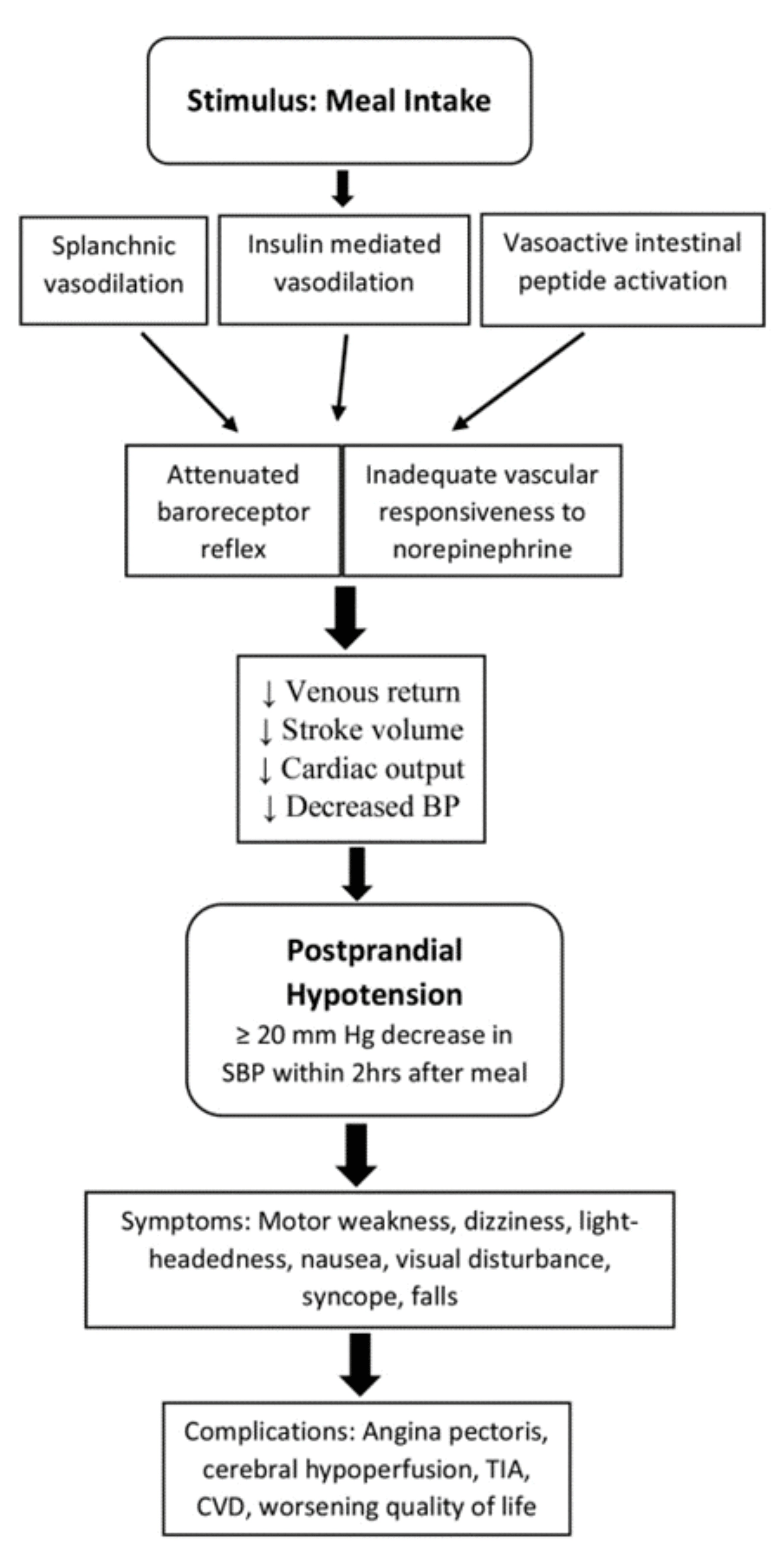 Postprandial Hypotension: An Underreported Silent Killer In The Aged ...