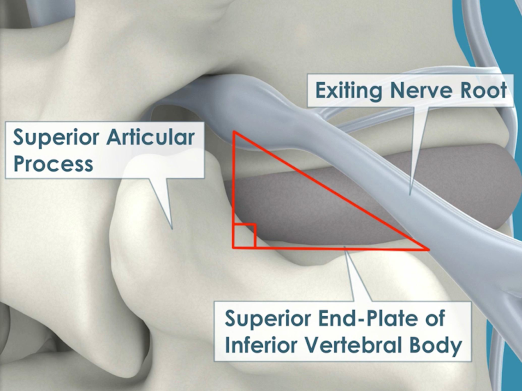 Lumbar Triangle