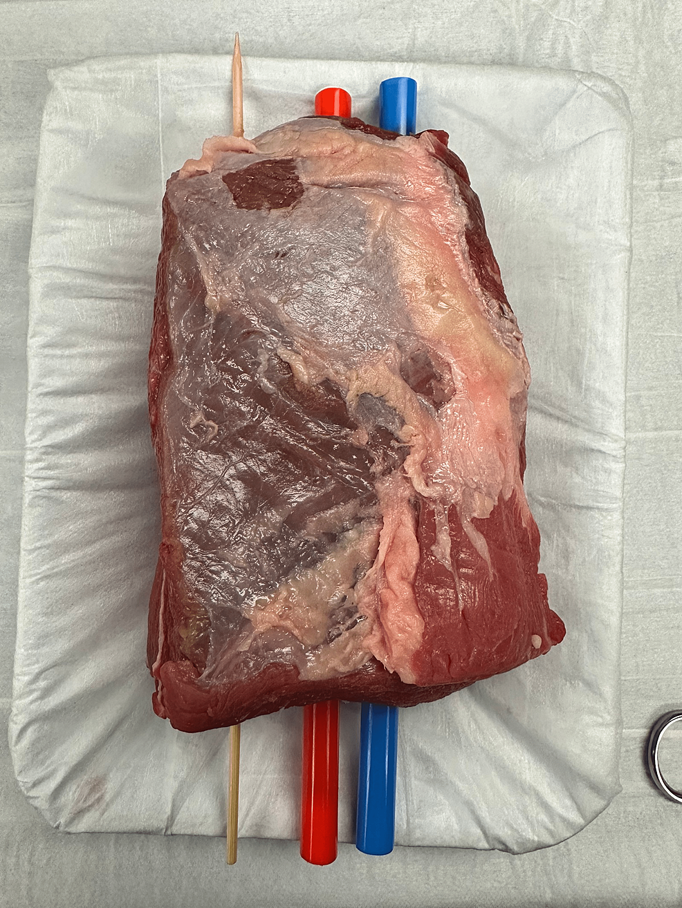 Model-after-insertion-of-foreign-bodies,-ultrasound-gel,-and-simulated-nerve-bundle