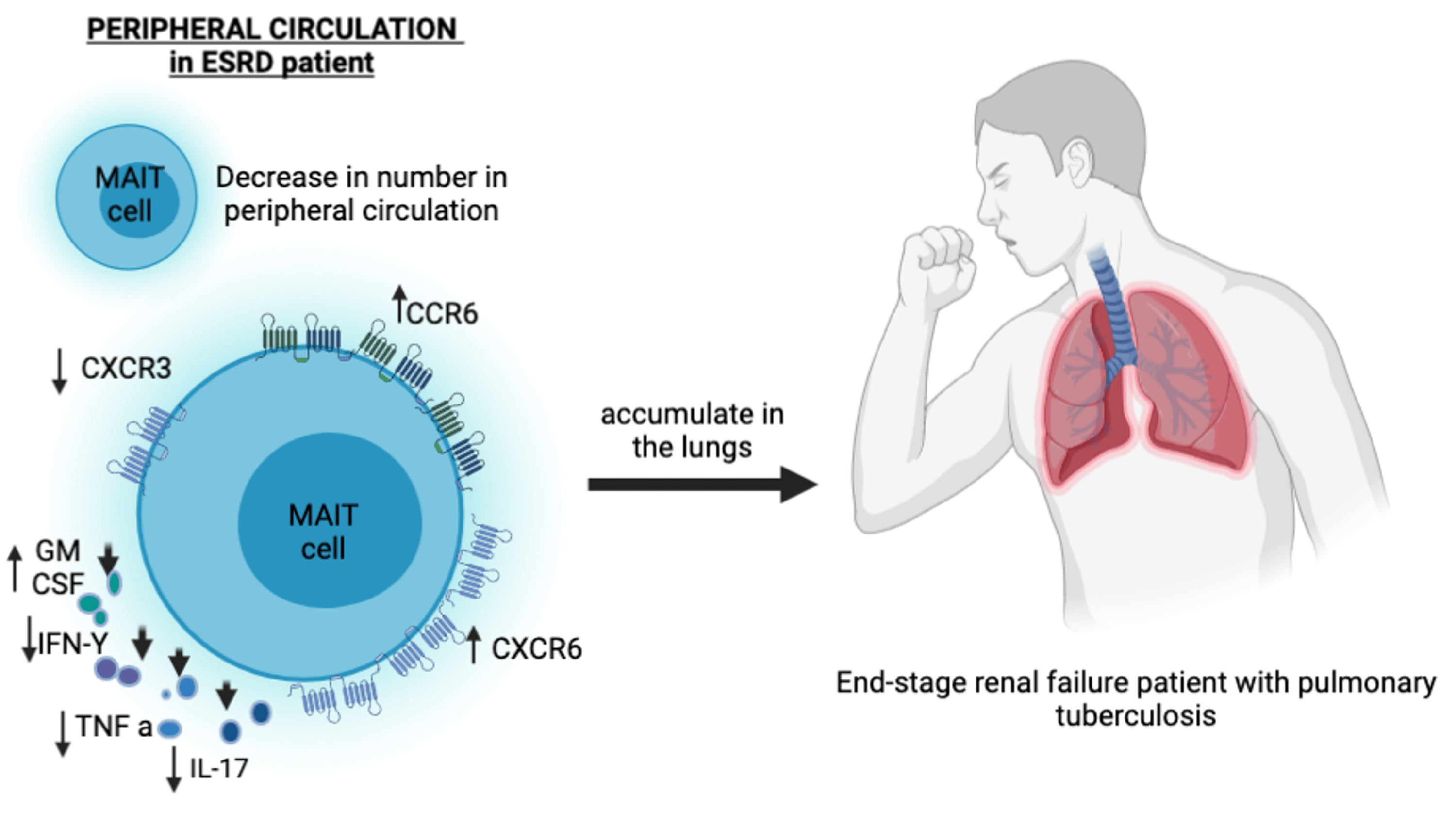 Cureus Unraveling the Secrets Behind the MultidrugResistant