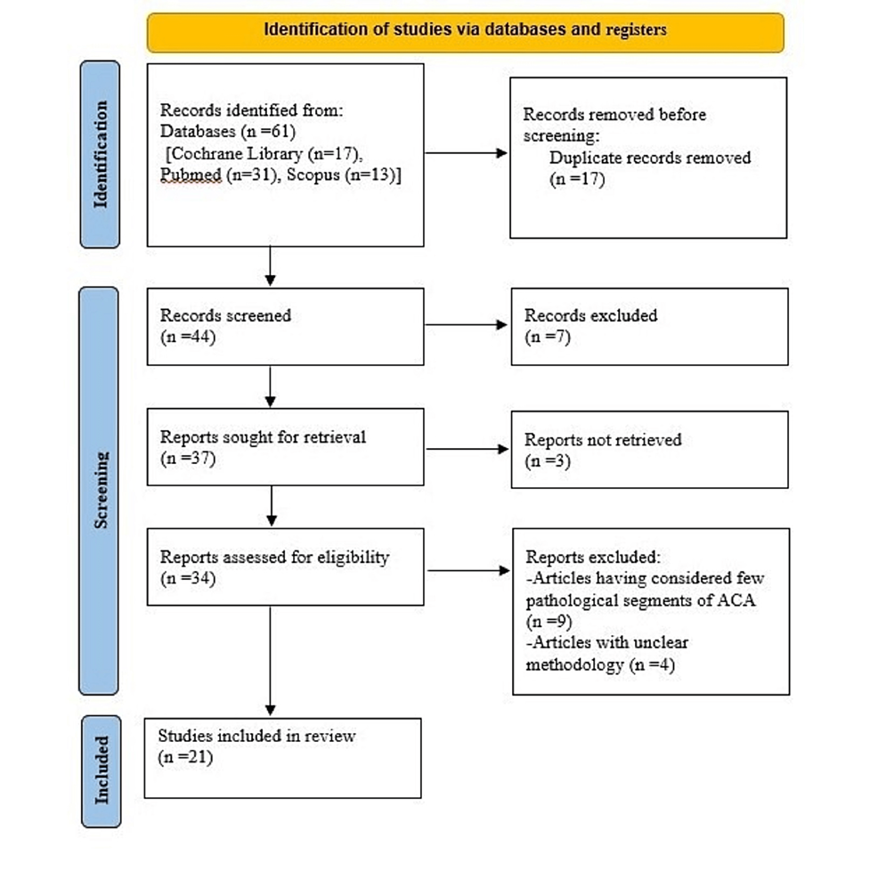 A Systematic Review of Morphometric Analysis of the Anterior Cerebral Artery (ACA) Highlighting Its Clinical Significance