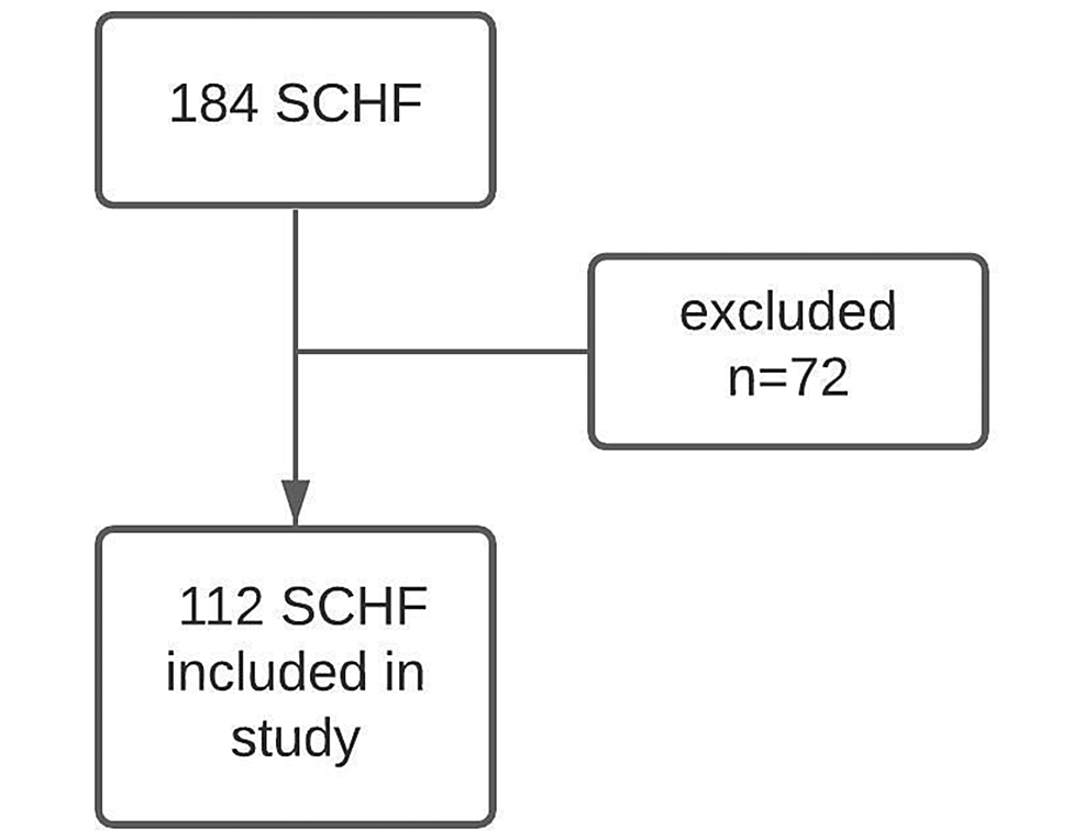 Cureus Factors Influencing Functional in Supracondylar