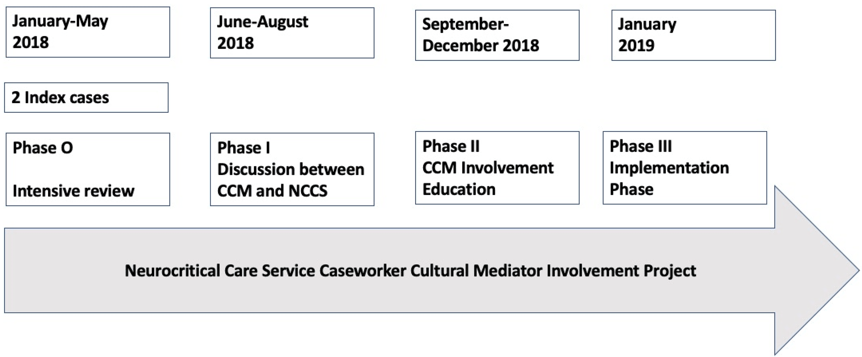 Caseworker Cultural Mediator Involvement In Neurocritical Care For ...