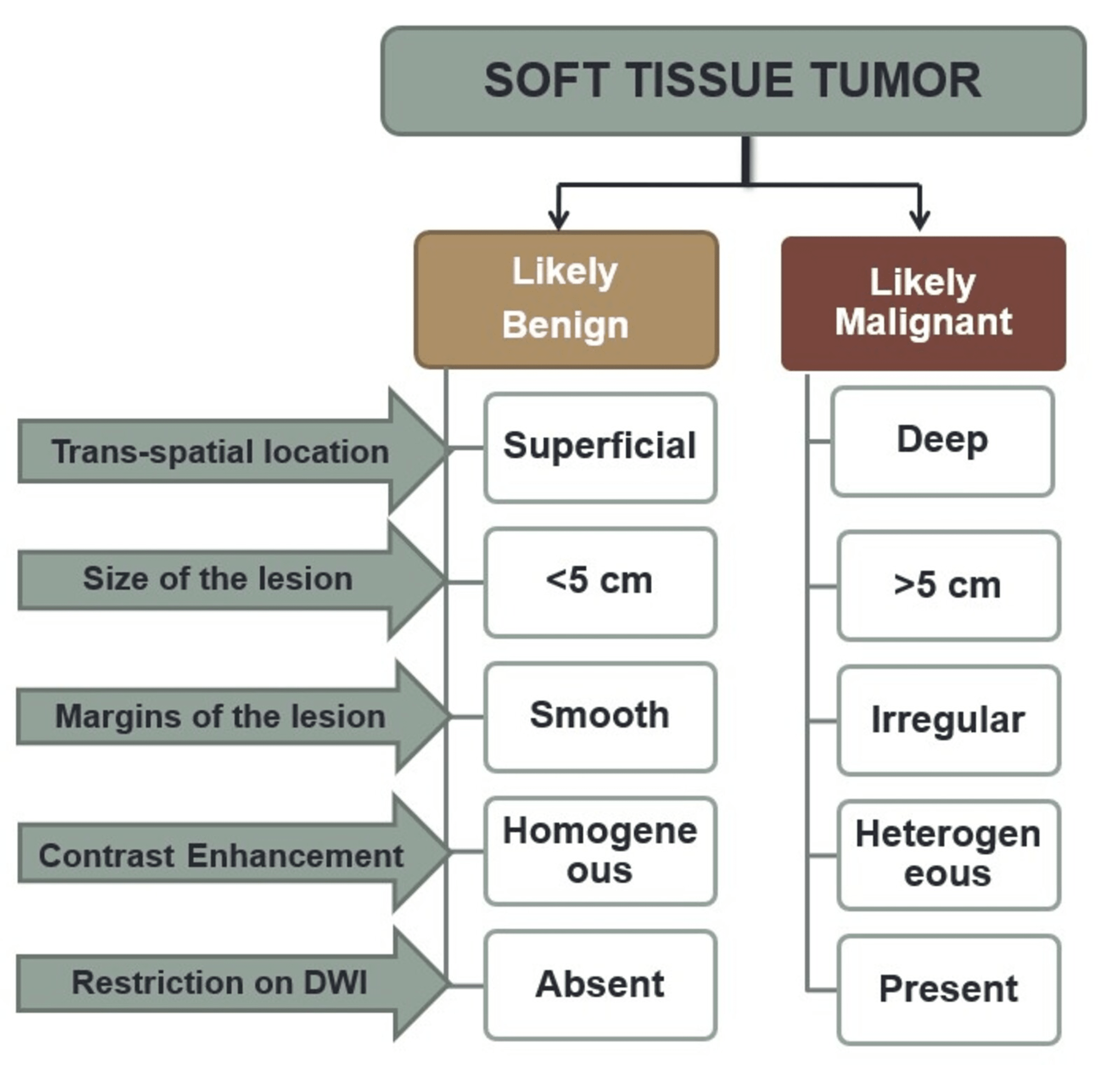 Cureus Mri Evaluation Of Soft Tissue Tumors And Tumor Like Lesions Of
