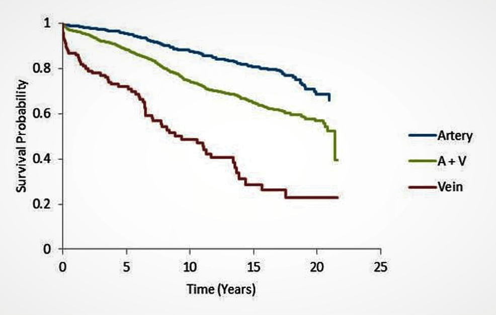 Critical Analysis of Coronary Artery Bypass Graft Surgery: A 30