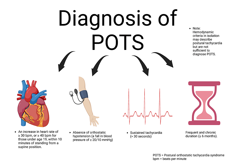 POTS (Postural Orthostatic Tachycardia Syndrome) 