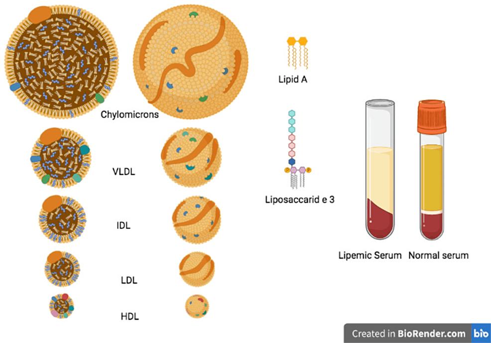 E78.5 Hyperlipidemia