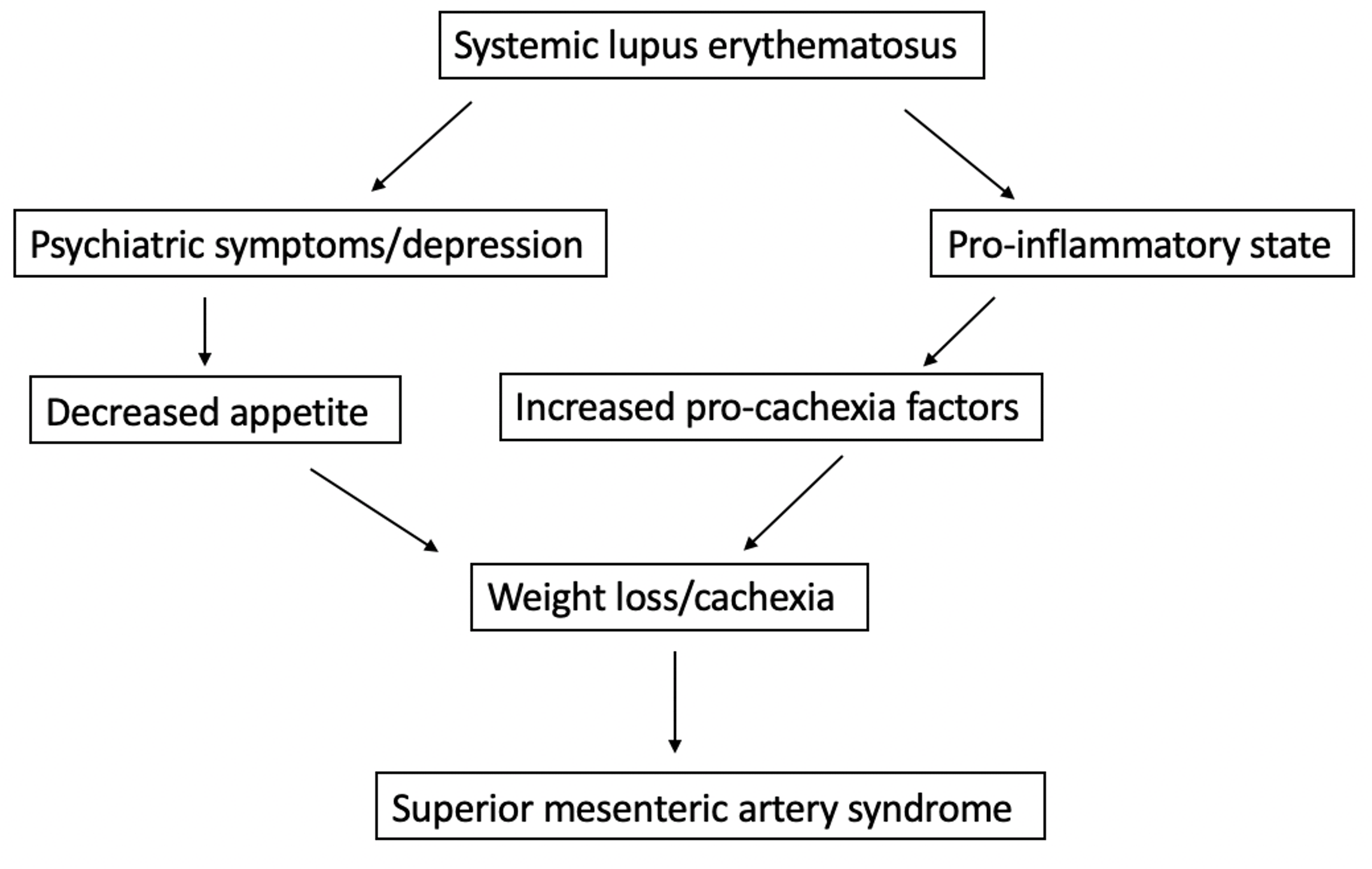 Superior Mesenteric Artery Syndrome in Systemic Lupus Erythematosus