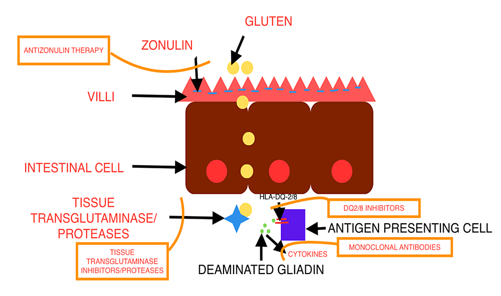 Antigen Select: Enteric Select – Lake Immunogenics