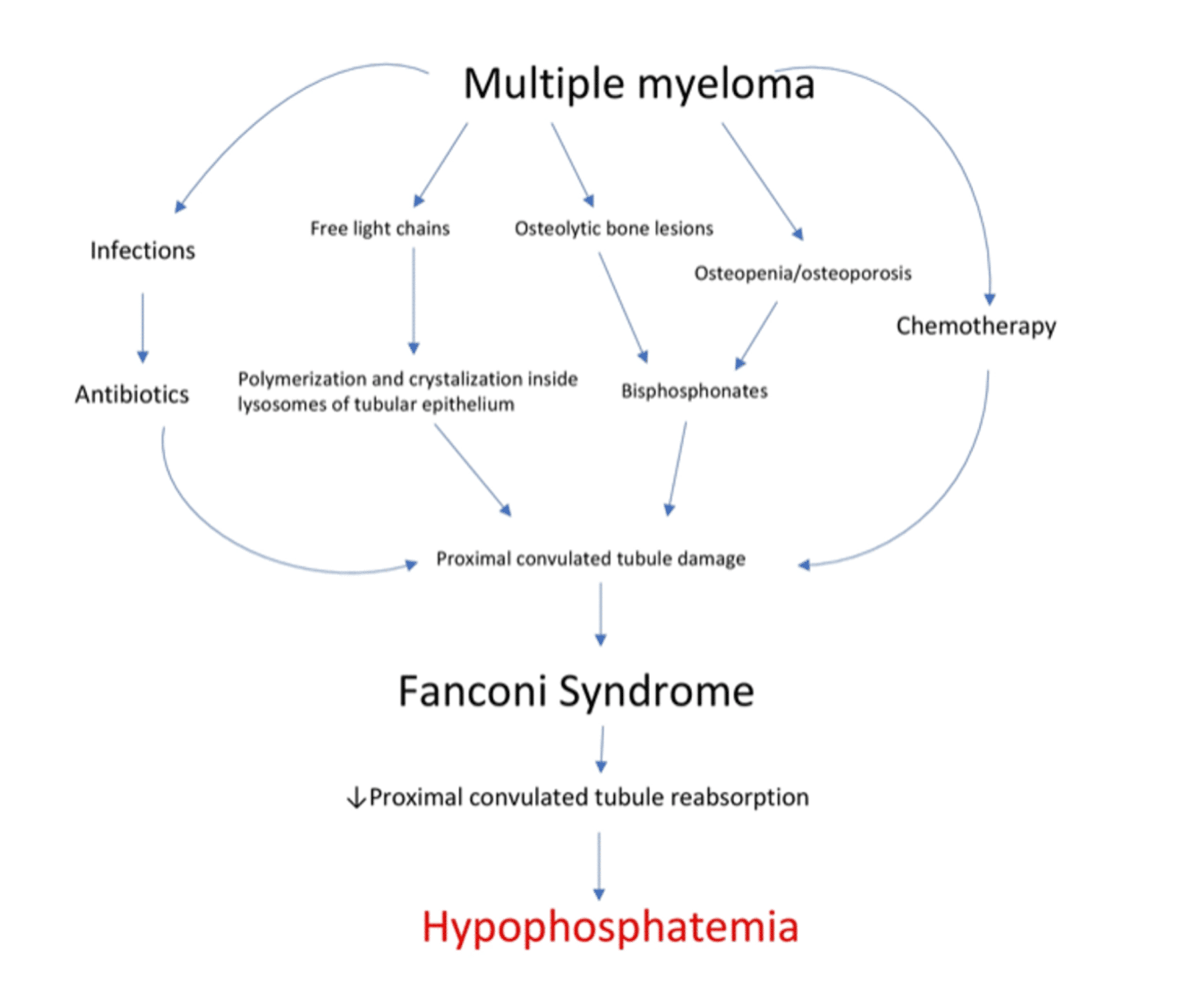 Cureus | Hypophosphatemia In Patients With Multiple Myeloma