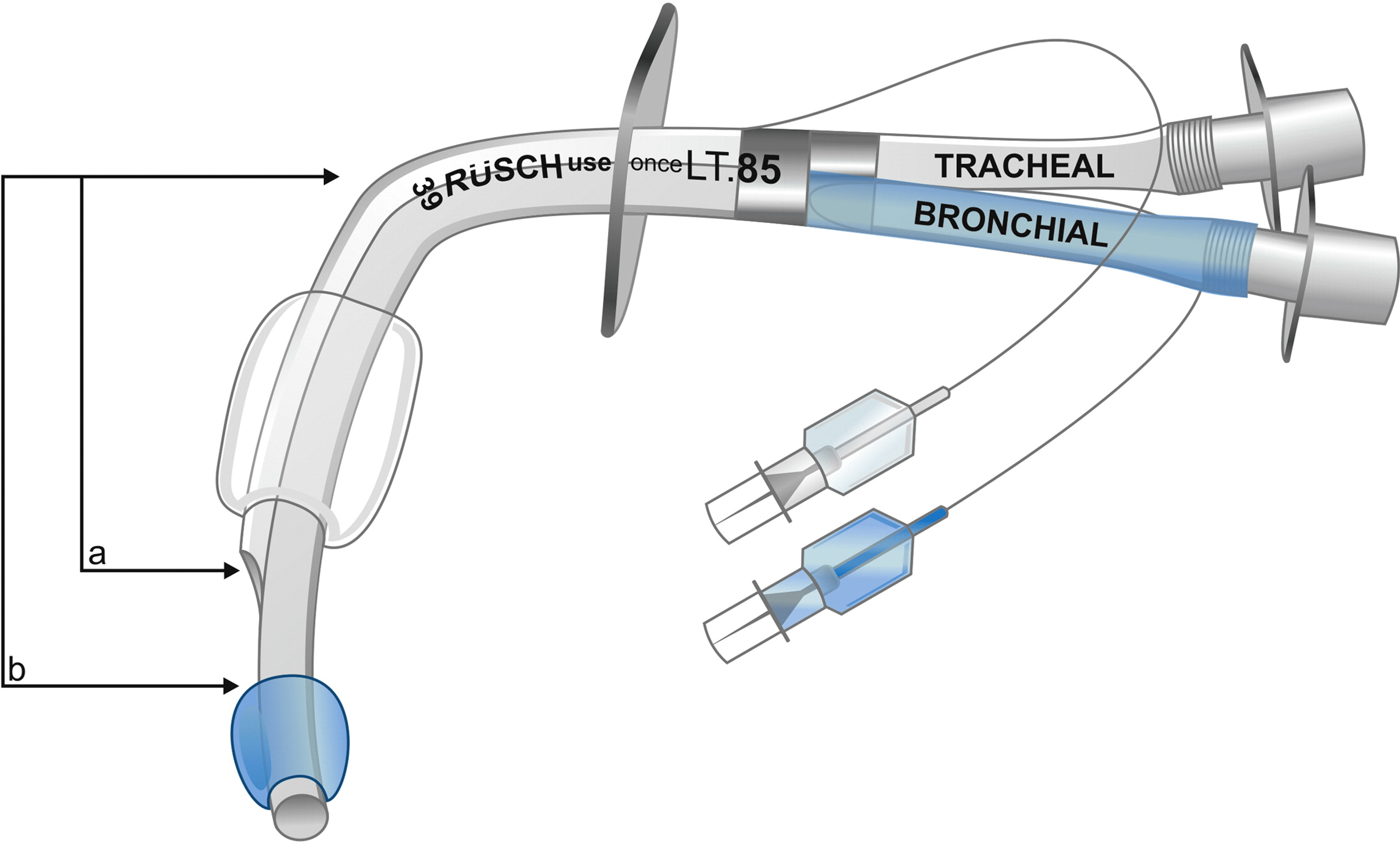 Cureus Double Lumen Endobronchial Tube Placement For Lung Separation Via A Tracheostomy Stoma 