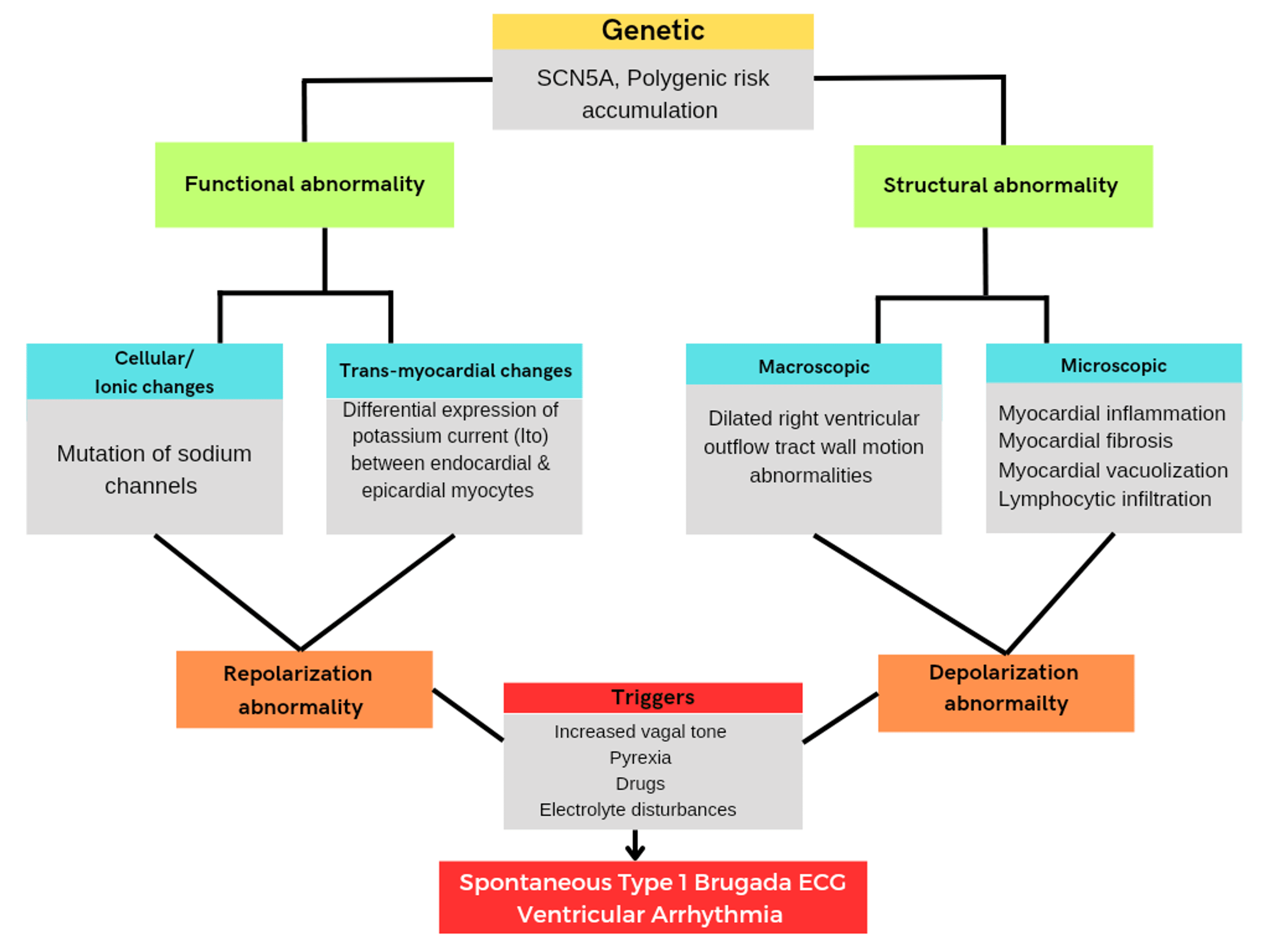 Cureus | Unmasking a Silent Killer and Understanding Sudden Cardiac