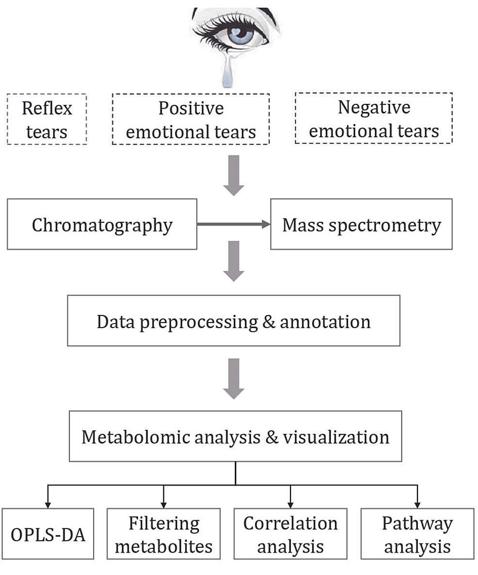 Women's tears contain chemical cues