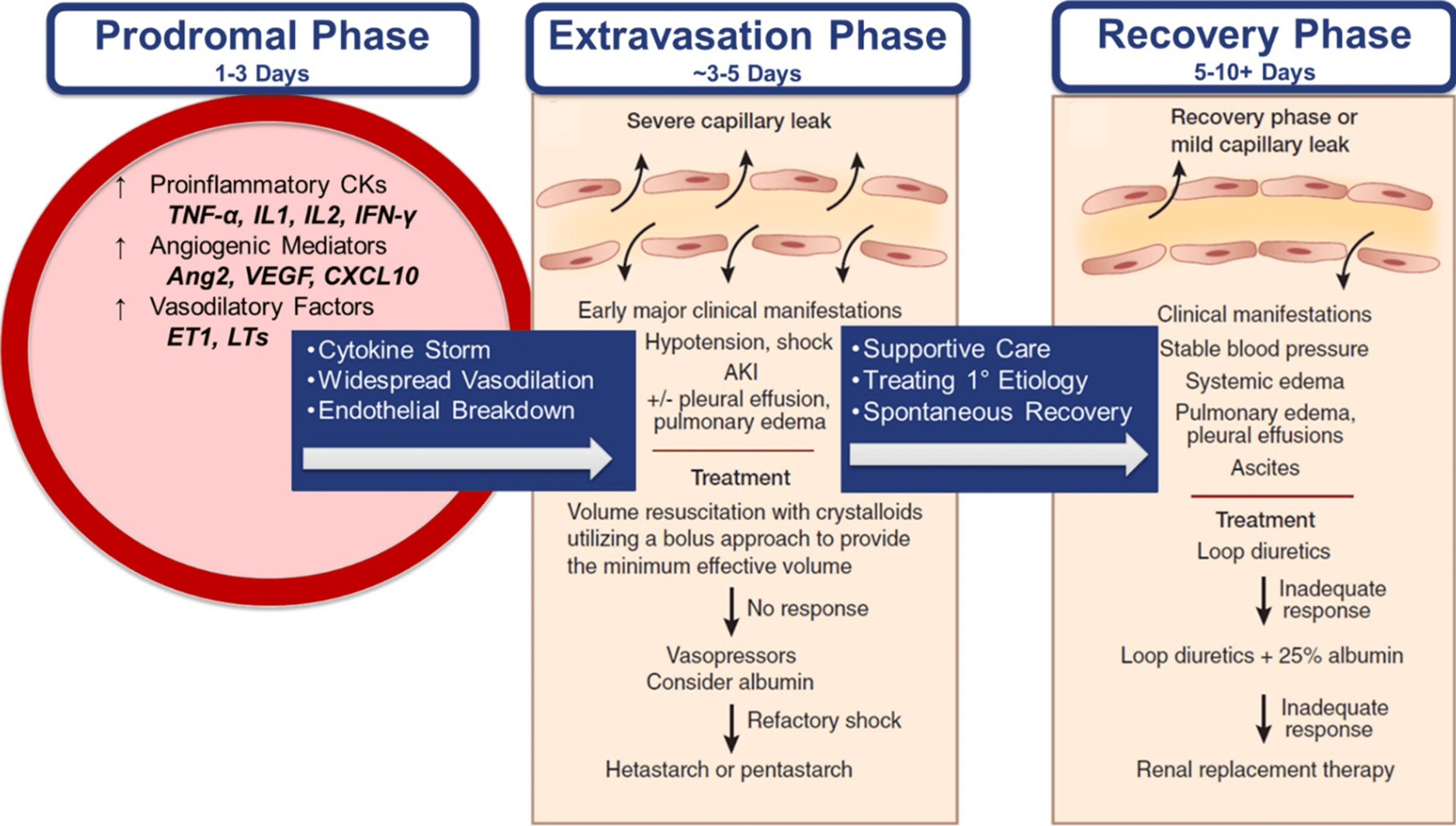 Cureus Compartment Syndrome of All Extremities in the Setting of COVID19Induced Systemic