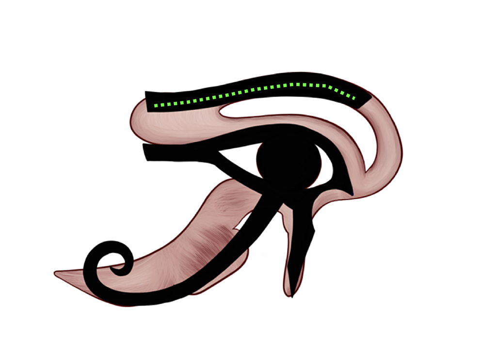 Eye Of Horus Facts Eye Of Horus Facts