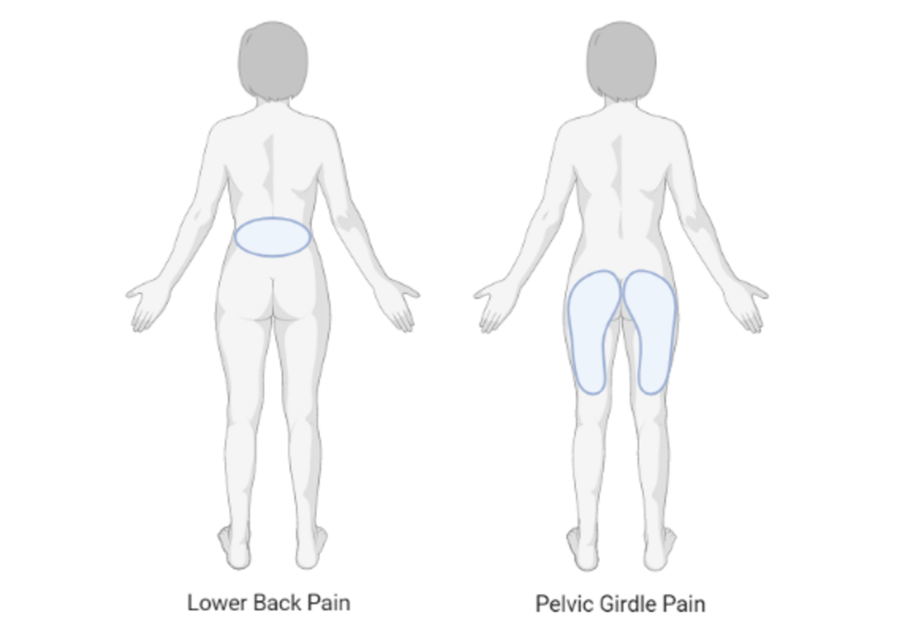 effects-of-conventional-exercises-on-lower-back-pain-and-or-pelvic