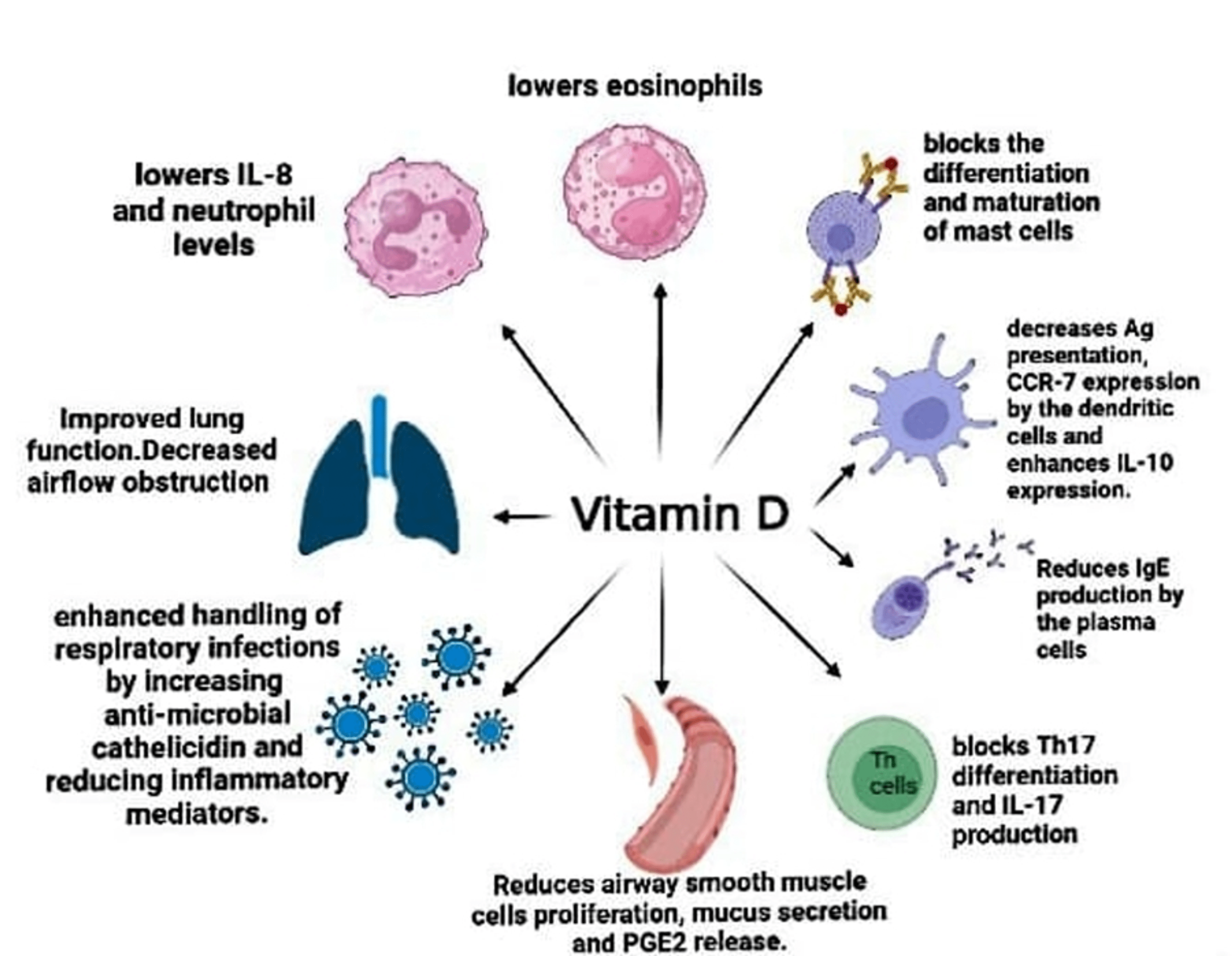 cureus-therapeutic-potential-of-vitamin-d-in-management-of-asthma-a