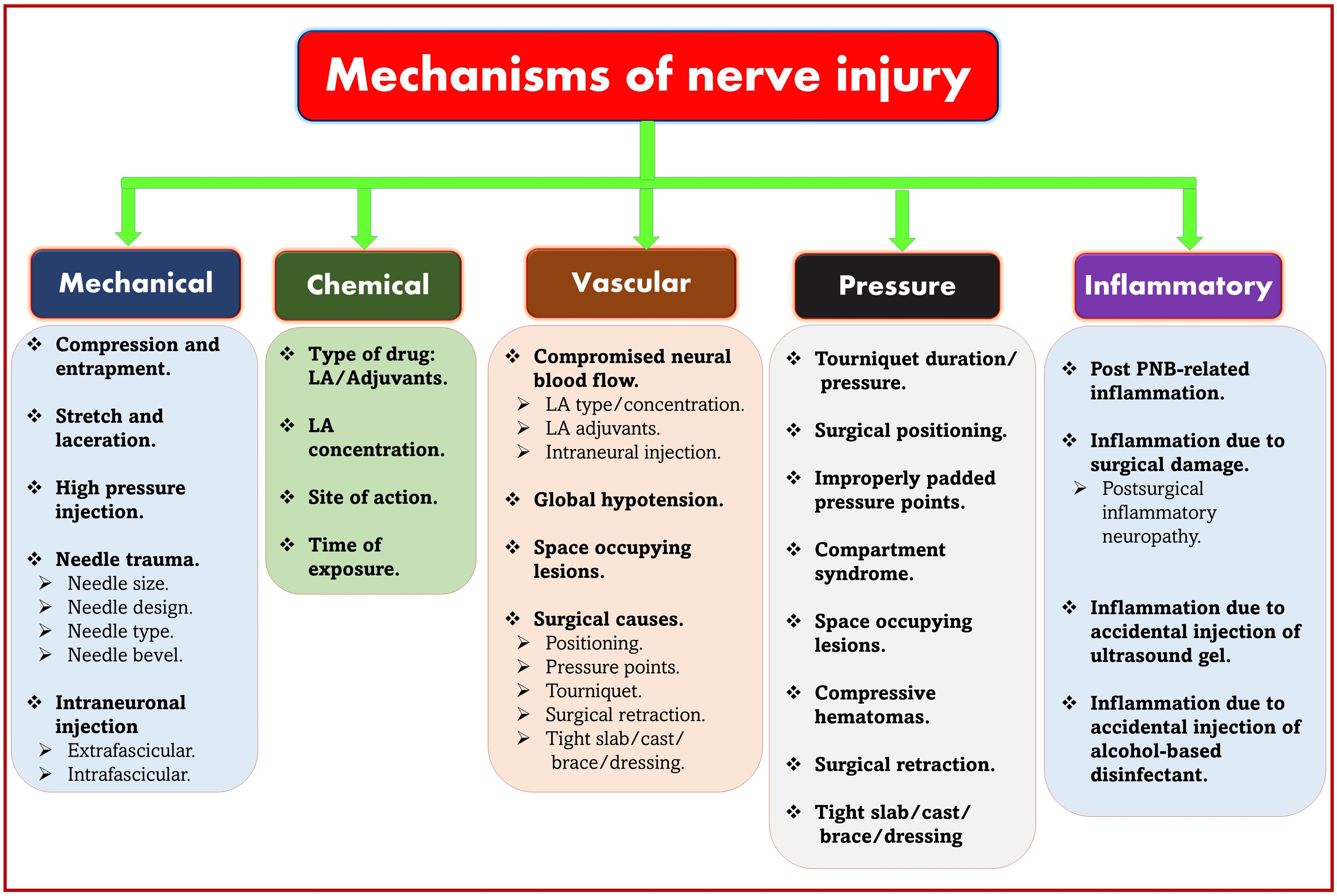 Cureus “Knowing It Before Blocking It,” the ABCD of the Peripheral