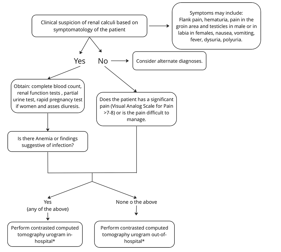 Differential Diagnosis of Flank Pain, PDF, Kidney